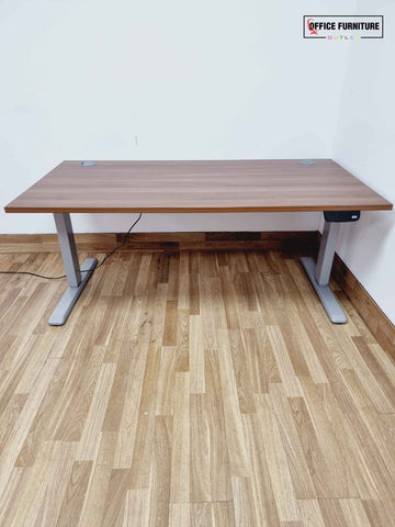 Electric Height Adjustable Walnut Desk (160cm X 80cm)